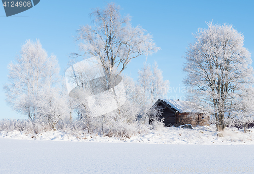 Image of Wintry landscape