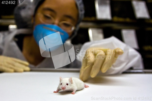 Image of Scientist with white mouse