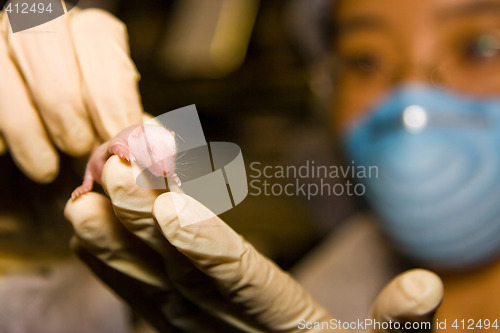 Image of Scientist with baby mouse