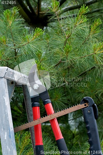 Image of Tree Trimming Tools