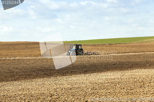 Image of farm field cereals