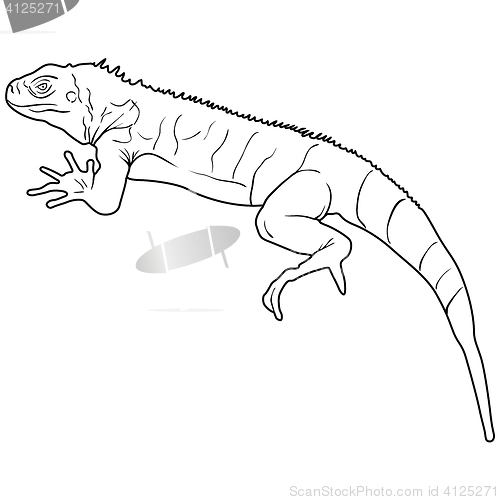 Image of Lizard is goanna silhouette on a white background. illustration