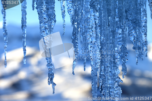 Image of Icicles in cold winter evening