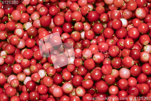 Image of Heap of cowberry