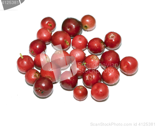 Image of Heap of cranberry