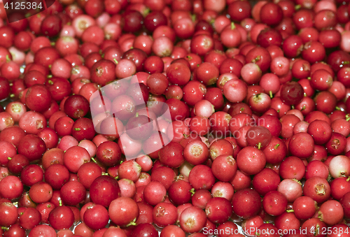 Image of Heap of cowberry