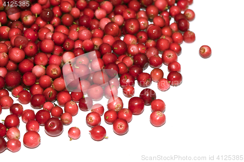 Image of Heap of cranberry