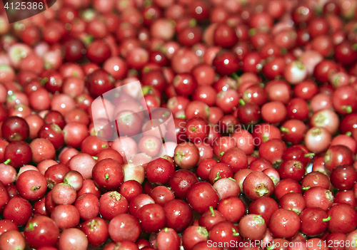 Image of Heap of cowberry