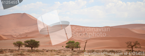 Image of Namib landscape