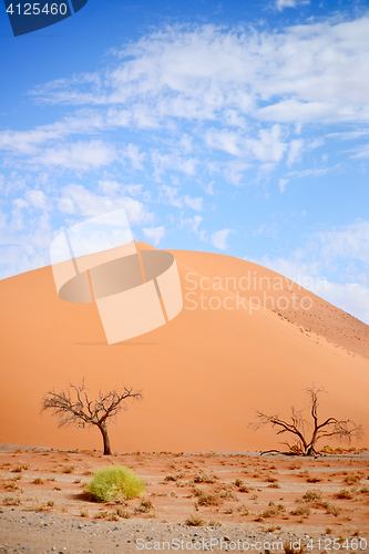 Image of sand dune