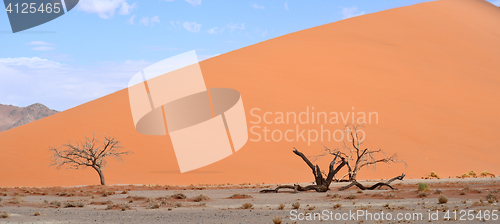 Image of desert landscape