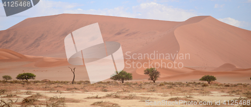 Image of sand dunes