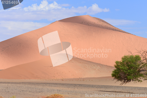 Image of sand dunes