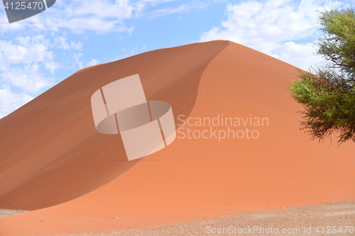 Image of sand dune