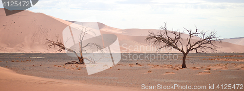 Image of sand dunes