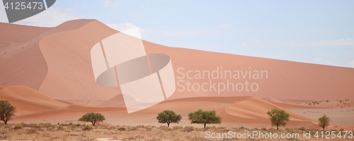 Image of Namib landscape