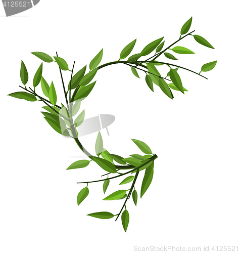 Image of Curved Round Branch Bamboo Green Leaves