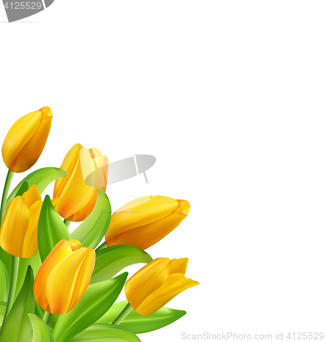 Image of Natural Bouquet with Yellow Tulips Flowers Isolated 