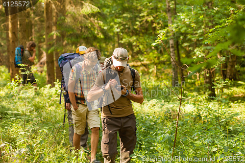 Image of Walking through forest