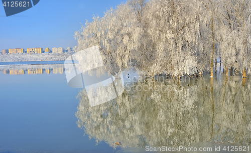 Image of Frosty trees on Danube river