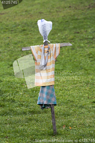 Image of Scarecrow made of old clothes in a field