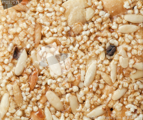 Image of Indian brittle close-up