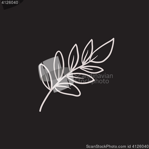 Image of Palm branch sketch icon.