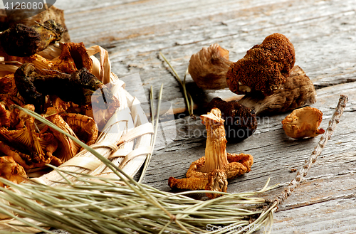 Image of Arrangement of Dried Mushrooms