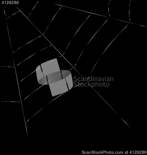 Image of Trap Spider Web