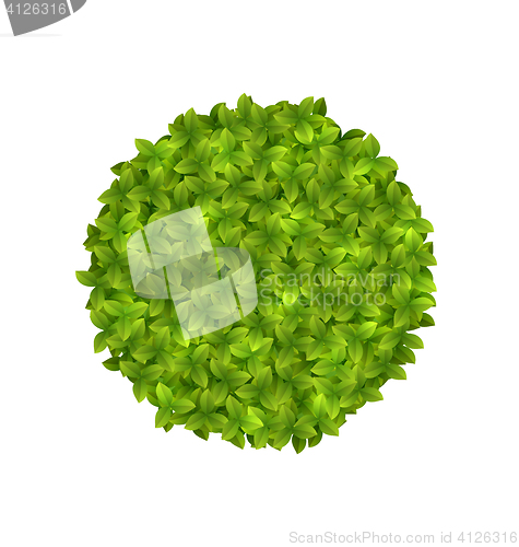 Image of Eco Friendly Circle Frame Made in Green Leaves
