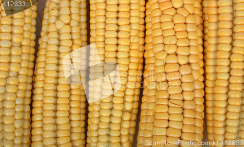 Image of fresh maize