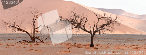 Image of desert landscape