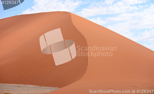 Image of sand dune