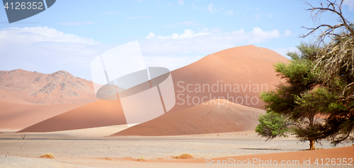 Image of sand dunes