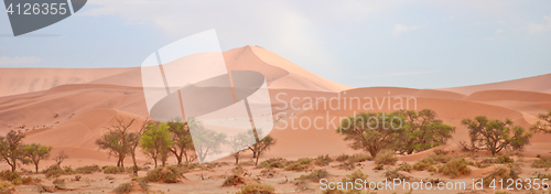 Image of sand dunes