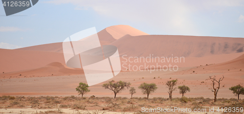 Image of sand dunes