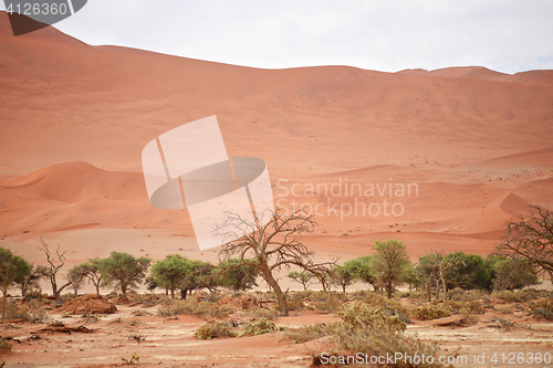 Image of sand dunes