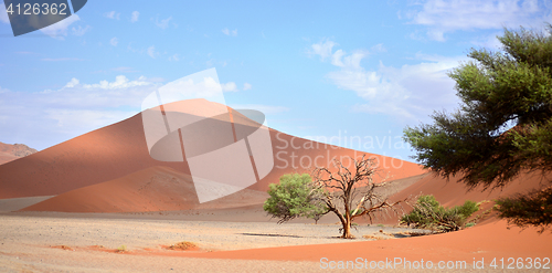 Image of sand dunes