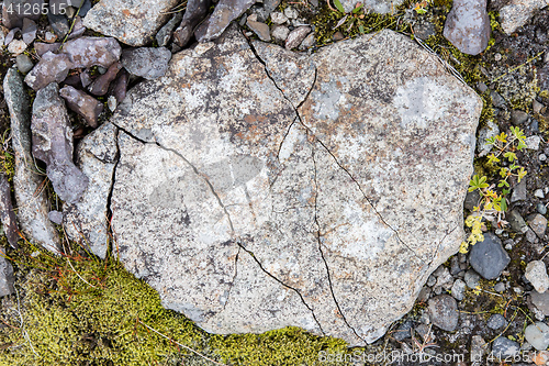 Image of Frost leaves Destructive Patterns in a Stone