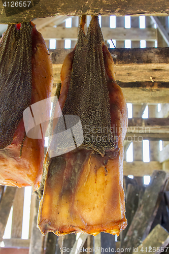 Image of Iceland\'s fermented shark