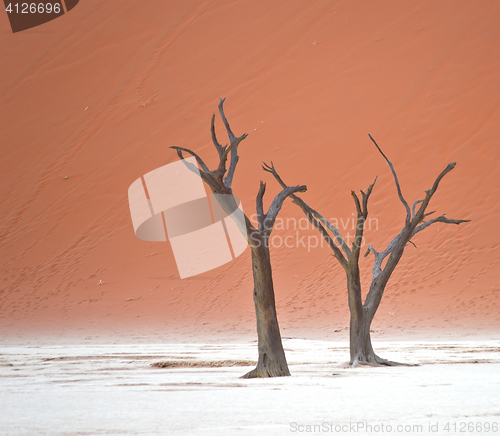 Image of Sossusvlei, Namibia