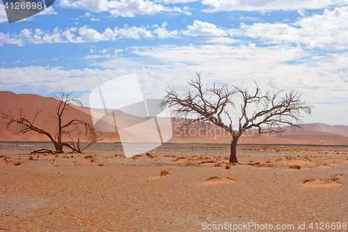 Image of desert landscape