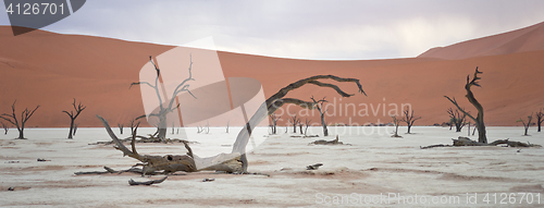 Image of Sossusvlei, Namibia