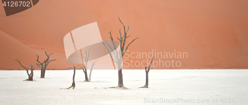 Image of Sossusvlei, Namibia