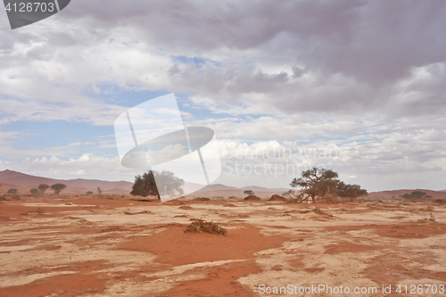 Image of desert landscape