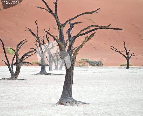 Image of Sossusvlei, Namibia