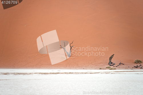 Image of Sossusvlei, Namibia