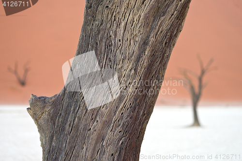 Image of Sossusvlei, Namibia