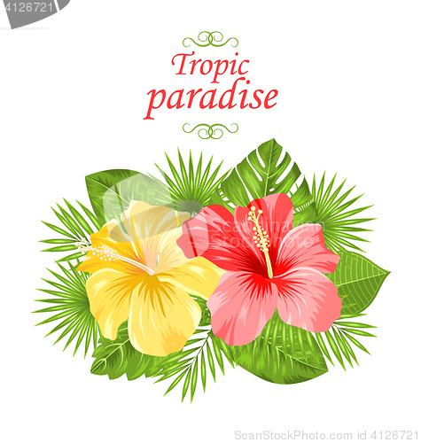 Image of Beautiful Colorful Hibiscus Flowers Blossom and Tropical Leaves