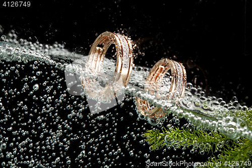 Image of Golden Rings In The Water